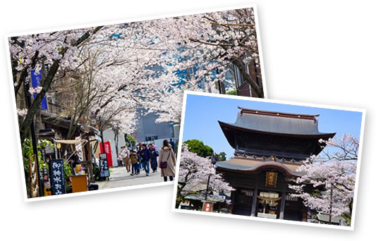 阿蘇神社